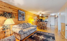Ski View Mountain Resort - 1102 Ski View Dr #108